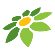 CHIKKI MOD APK